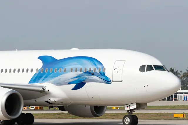 Avião pintado com golfinho e HZMB leva imagem de Zhuhai ao mundo em ao vivo da CGTN