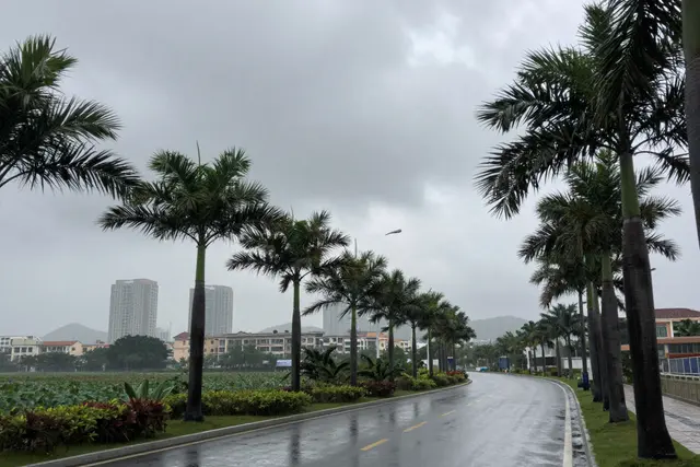 Chuvas e preparação para tufão: o que esperar em Zhuhai nesta semana