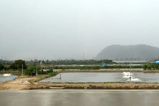 高速公路景色