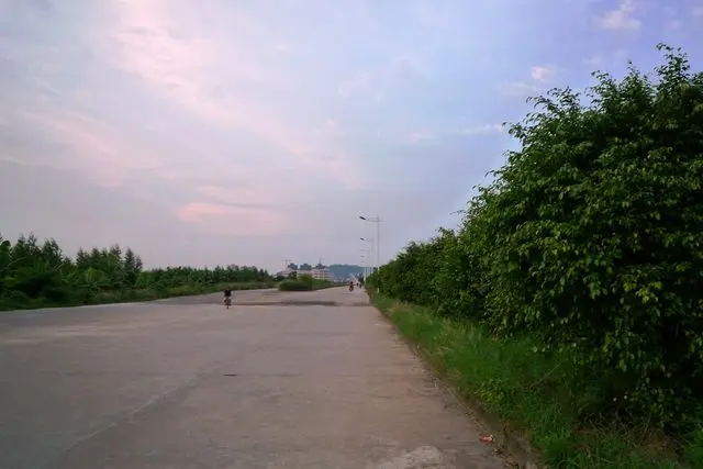 夕阳无限好
