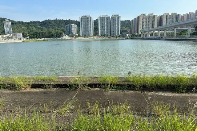 ​這張照片在石排灣市區公園拍攝。