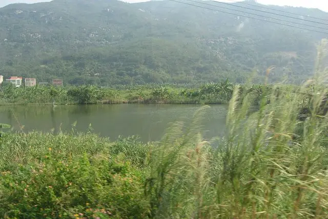 Landscape of Hengqin Island in Zhuhai