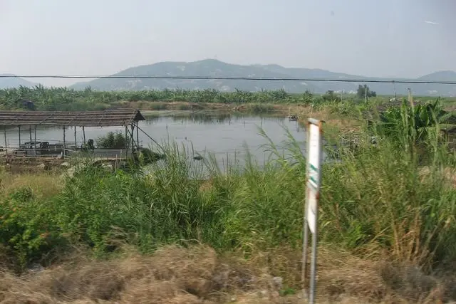 Landscape of Hengqin Island in Zhuhai