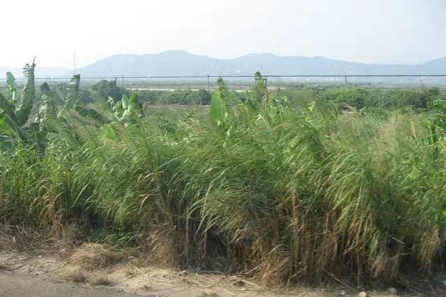 Landscape of Hengqin Island in Zhuhai