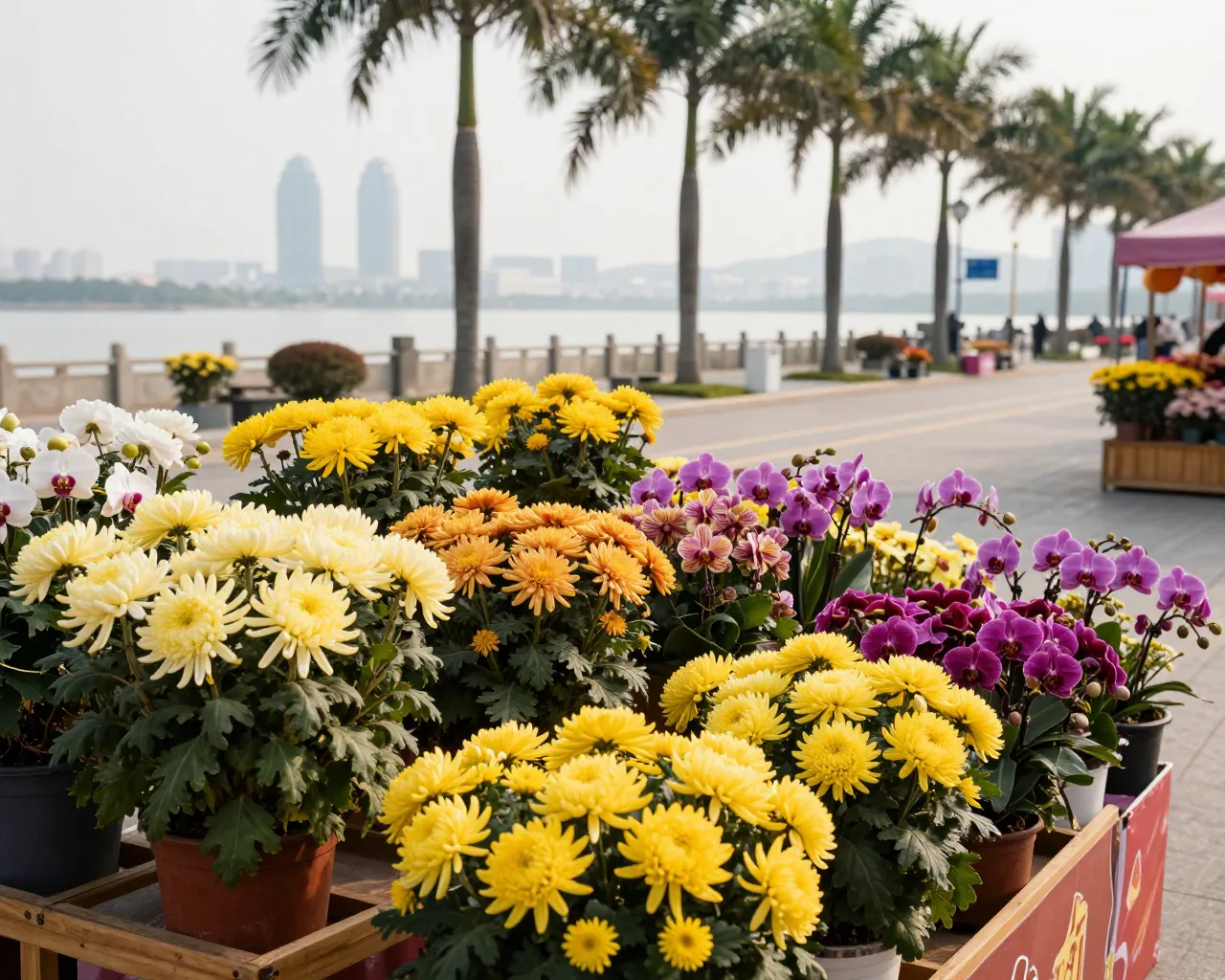 Feriado da Primavera em Zhuhai: flores, turismo e tradição em alta