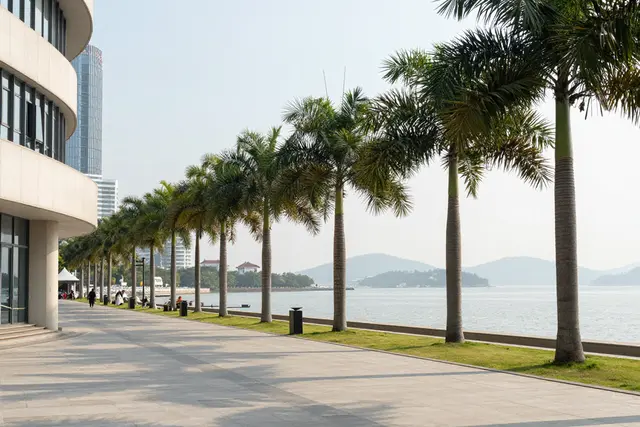Ganhador do Prêmio Mao Dun fala sobre literatura e viagens em Zhuhai