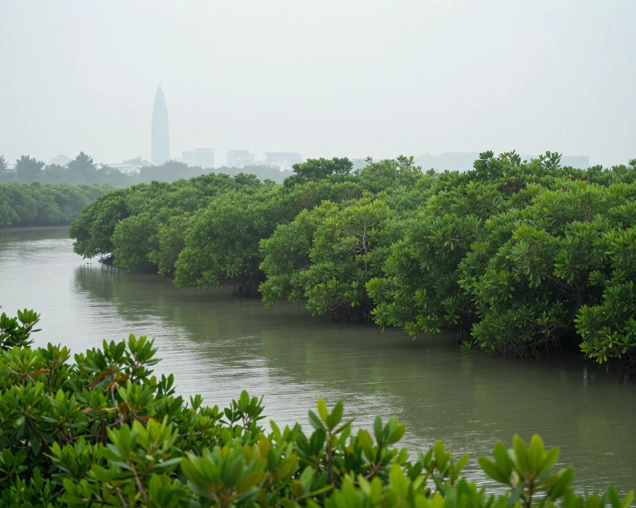 Guia: 4ª Semana da Natureza em Hengqin abre com passeios por manguezais