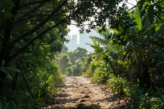 Guia de cores: roteiros para curtir a natureza e o visual de Hengqin