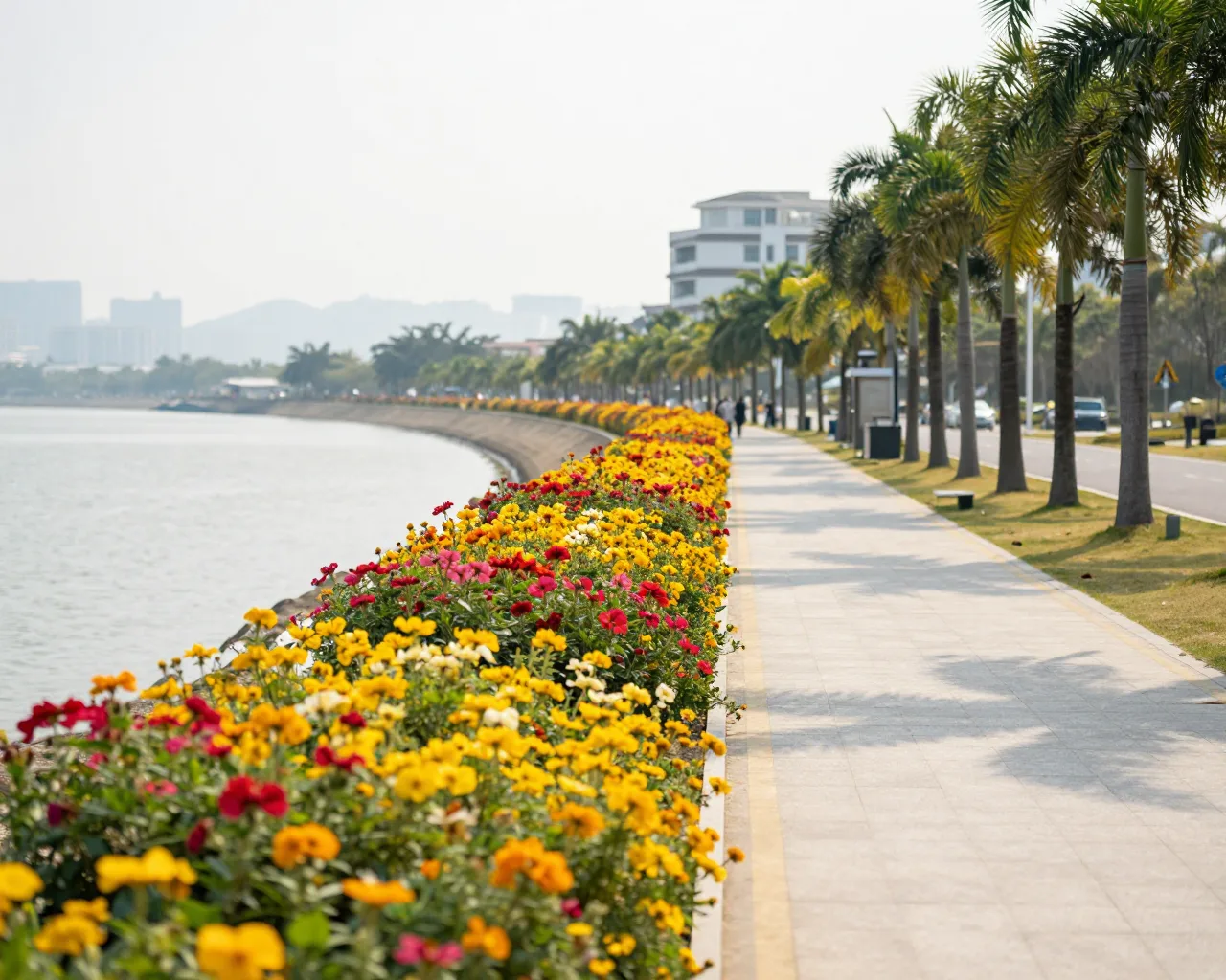 Guia de primavera em Hengqin: quatro roteiros para curtir a ilha