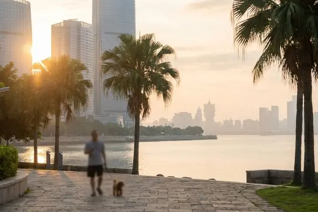 Levar cachorro ou gato para Macau fica mais fácil e sem quarentena