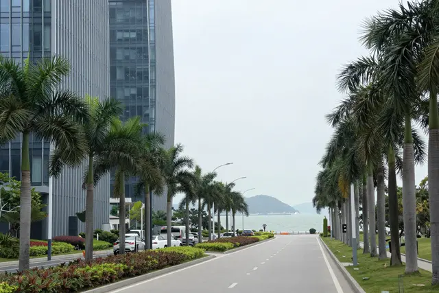 Moradores de Macau resolvem impostos em Hengqin sem cruzar a fronteira