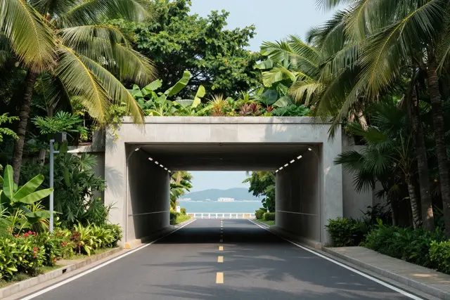 Nova rota em Hengqin liga Macau à cidade de Zhuhai em 5 km