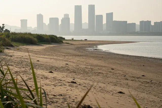 Novas espécies de aves escolhem Hengqin para nidificar em área de areia