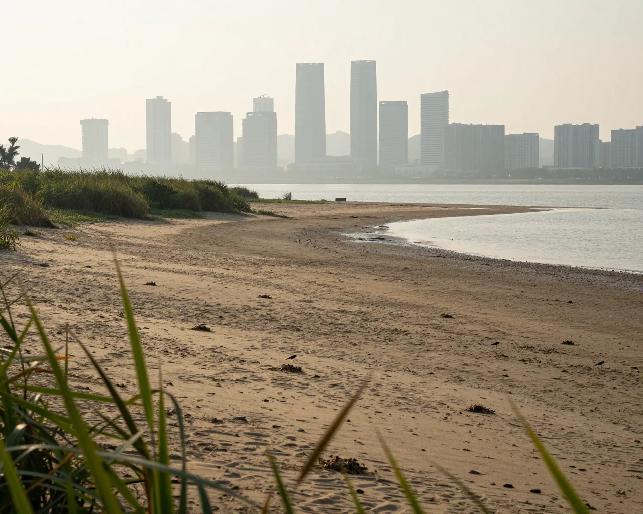 Novas espécies de aves escolhem Hengqin para nidificar em área de areia