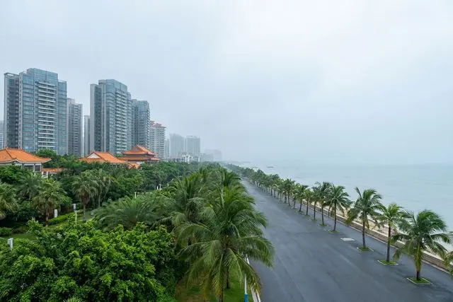 Ostras de Hengqin (横琴蚝)