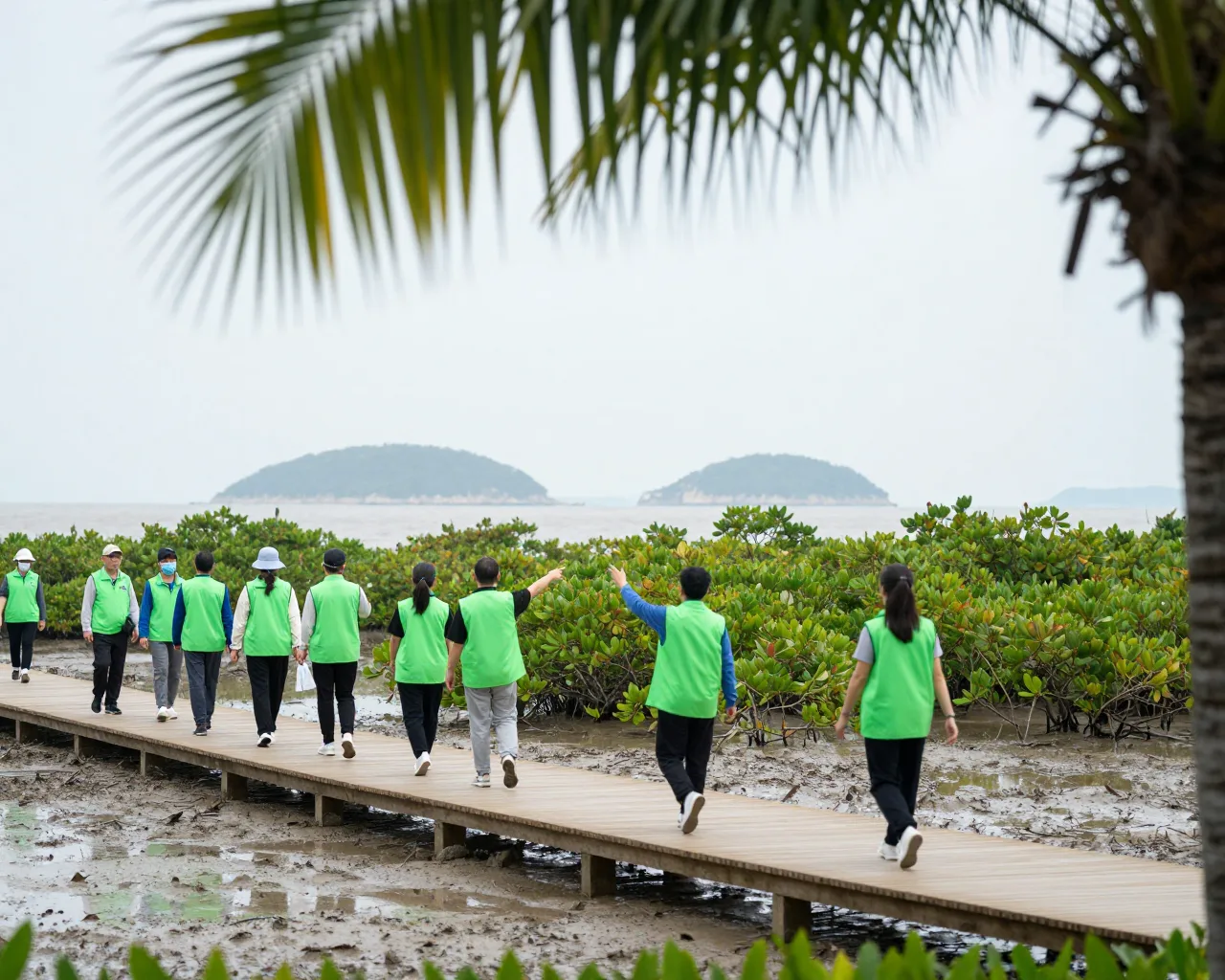 Parque de Hengqin busca 50 voluntários para proteger a natureza