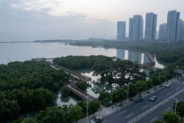 Parque de Zonas Úmidas de Erjingwan (二井湾湿地公园)