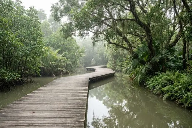 Parque de Zonas Úmidas de Zhupai (竹排湿地公园)