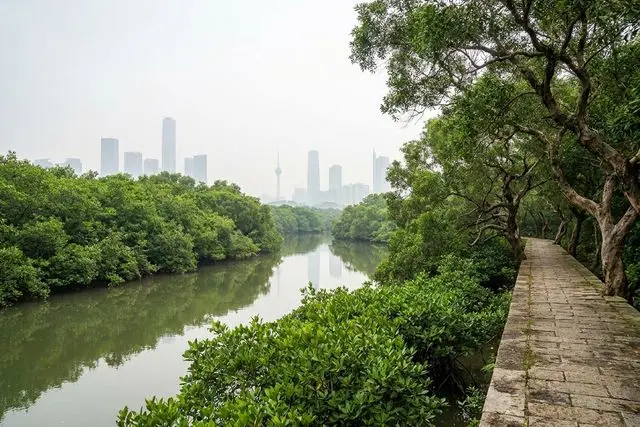 Parque de Zonas Úmidas do Rio Huangyang (黄杨河湿地公园)