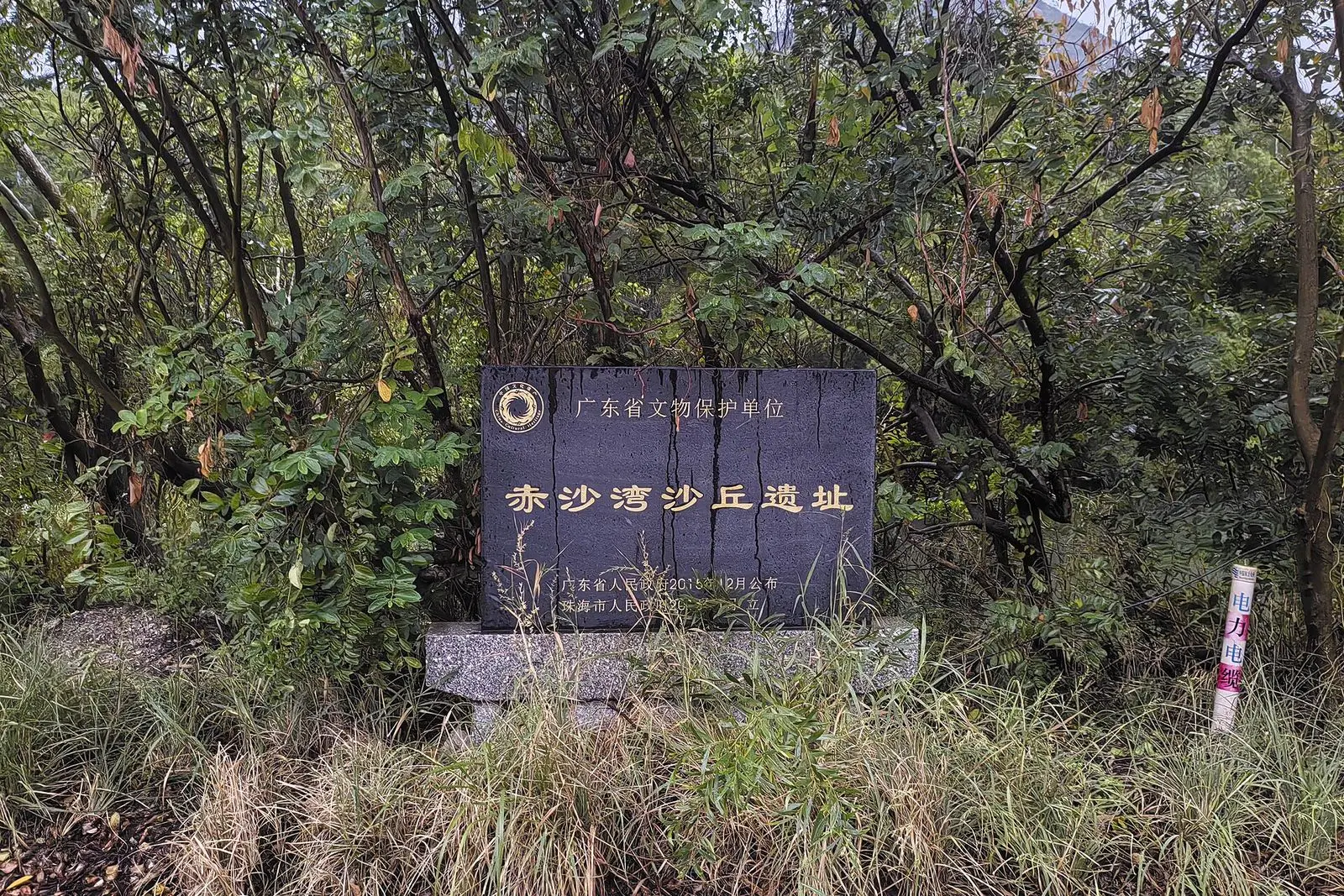 Parque Florestal do Monte Dahengqin (大横琴山森林公园)