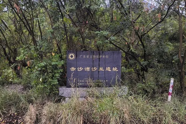 Parque Florestal do Monte Dahengqin (大横琴山森林公园)