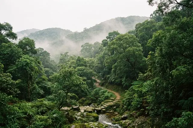 Parque Rural do Monte Guanyin (观音山郊野公园)