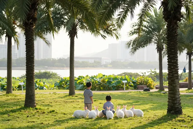 Passeio com animais fofos em parque agrícola de Zhuhai atrai famílias