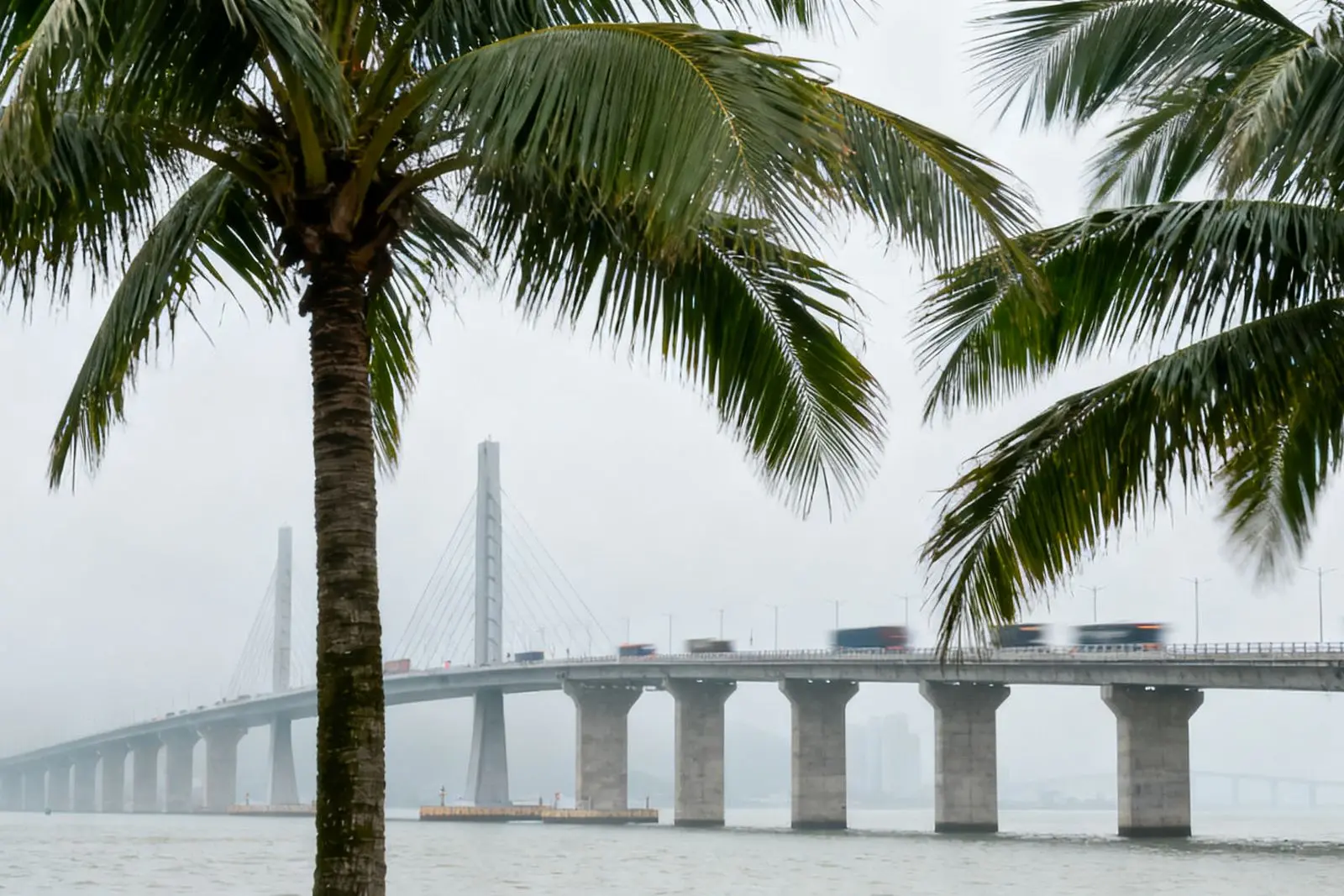 Porta de entrada da China: ponte entre Zhuhai e Hong Kong bate recorde