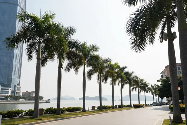 Setembro em Macau: orquestras, WTT, Bolo Lunar e novas rotas históricas