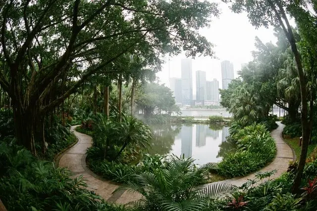 Trilha-parque do Monte Xiaohengqin (小横琴山步道)