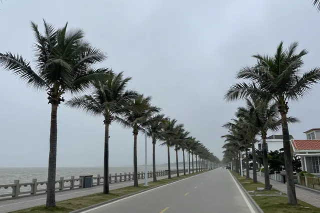 Tufão 'Kirogi' suspende aulas e transportes em Zhuhai