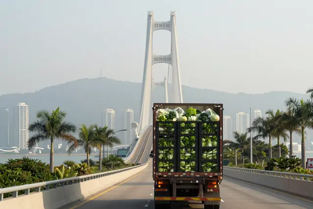 Vegetais de Zhuhai chegam a Hong Kong pela Ponte HZMB em 4 horas