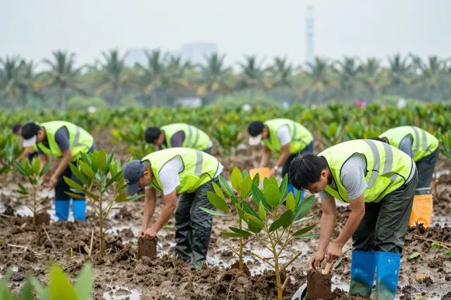 Voluntários plantam 18 mil mudas em parque de Zhuhai