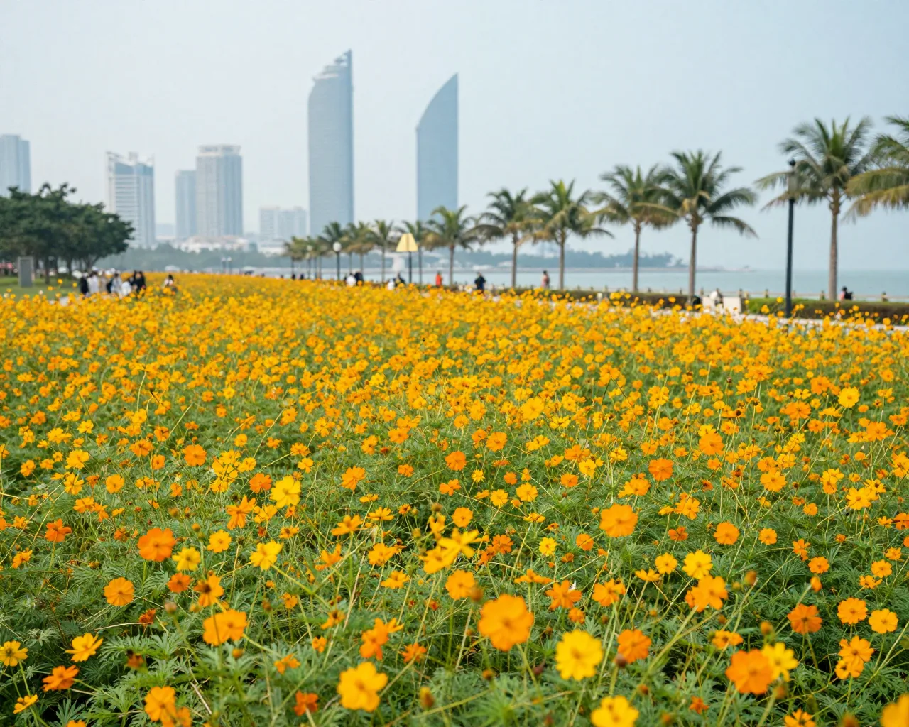 Zhuhai em flor: onde ver as cores da primavera na cidade
