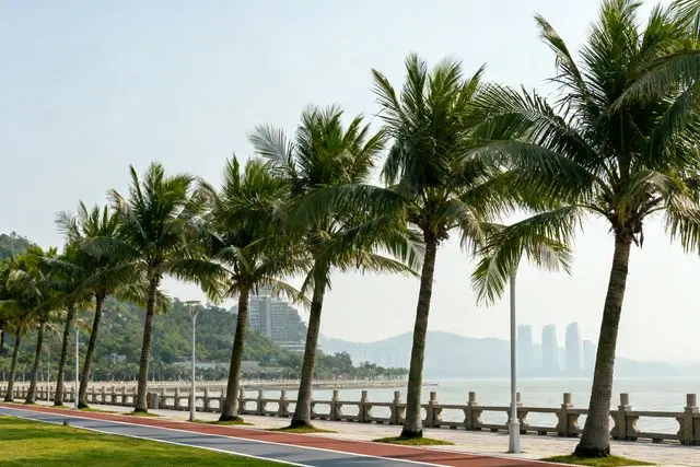 Zhuhai planeja transformar toda a cidade em um grande parque até 2035